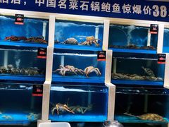 水产区-品海楼·大连海胆锅贴馆(东港店)