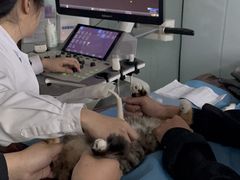 -达爱动物医院·犬猫分区·CT·复杂眼科(远洋山水分院)
