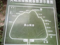 -大岭沟猕猴桃谷风景区