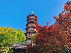 -绳金塔