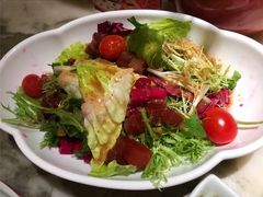 美肺大拌菜-京华烟云·北京烤鸭(领展购物广场·中关村店)