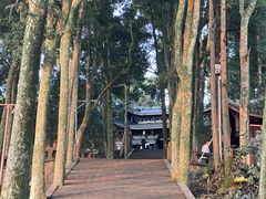 -峨眉山风景名胜区