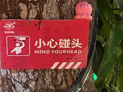 -海岛八号龙虾烧烤田鸡(蓝天路总店)
