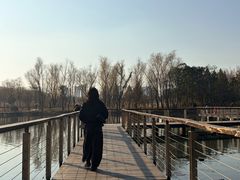 -昆山城市生态森林公园