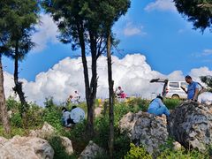 -长虫山生态公园风景林