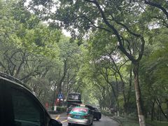 -旅马餐厅(茅家埠店)