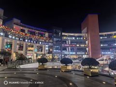 -浦江城市生活广场(江月路店)