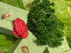 -季季山·云南野生菌火锅(上海首店)