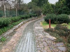 -雨花胜境