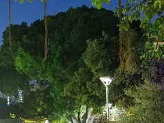 -荔湾湖公园