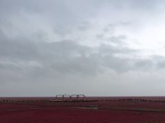 景点-红海滩国家风景廊道