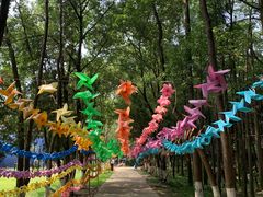 -洪湖悦兮半岛国际温泉度假村