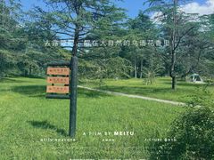 -上海共青森林公园