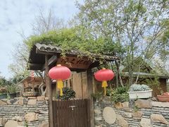 -鹅湖玫瑰文化园
