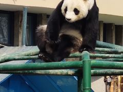 -天津市动物园