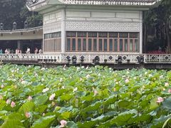 -荔湾湖公园