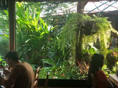 -Ohkajhu Organic Farm Sansai