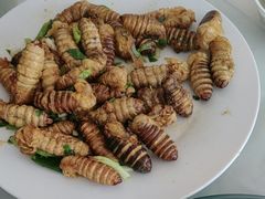 -华龙特色大骨鸡农家菜馆