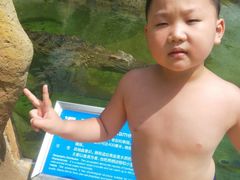 -秦皇岛乐岛海洋王国