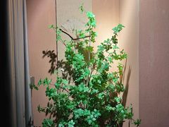 -泰·菩提树下[泰式按摩x精油SPAx肩颈头疗](新景店)