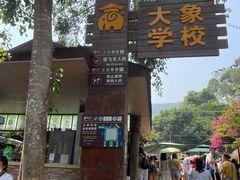 -野象谷景区