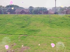 -梁子湖东篱老屋生态庄园