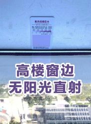 -MLP美丽派·问题肌疗愈中心
