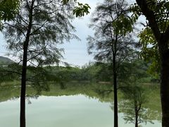 -凤岗南门山森林公园