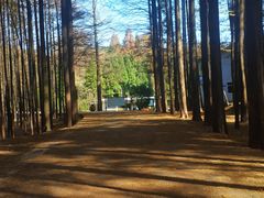 -山王坪喀斯特国家生态公园