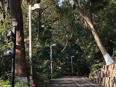 -中山公园(石岐街道)