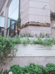 -Dr.U博士医疗美容医院
