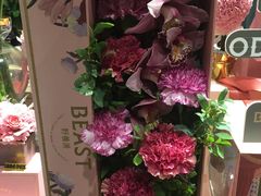 -BEAST野兽派(上海浦东嘉里城店)