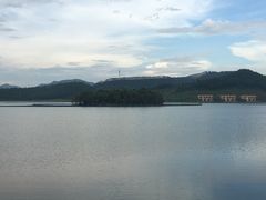 -美的鹭湖森林度假区