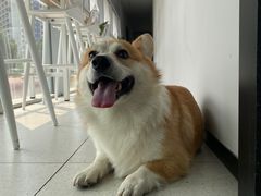 -Cetus coffee鲸鱼座咖啡·拼豆(二仙桥公园店)