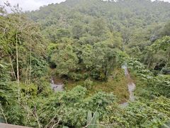 -野象谷景区