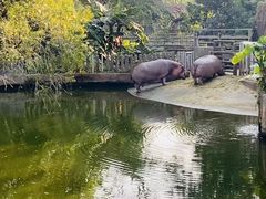 -深圳野生动物园