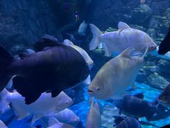 -多彩贵州城极地海洋世界