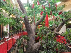 -自助火锅筷乐食代自助餐厅(金辰店)
