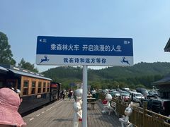 -莫尔道嘎国家森林公园