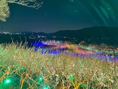 -香雪海