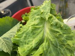 -牛牛牛酸菜煎肉店(望云寺路店)