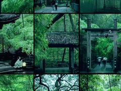 -云栖竹径