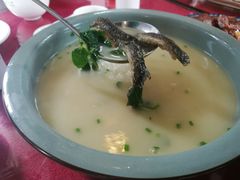 -生态苑农庄(十里画廊遇龙河店)