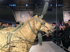 -秦始皇帝陵博物院-丽山园