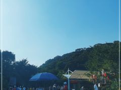 -广州白江湖森林公园