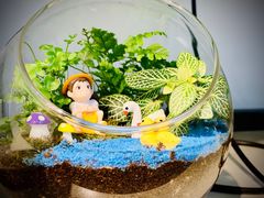 -拾光陶吧
