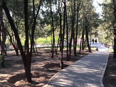 -长辛店二七公园