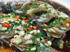 -全乐鱼馆·淳牌有机鱼直营店