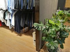 -海马体照相馆|大师(武汉光谷K11店)