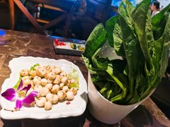 -同仁四季椰子鸡(海岸城天利店)